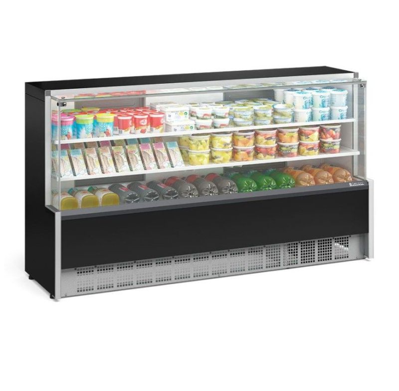 Vitrine Refrigerada Universal Gelopar Gpdv-205pr 2 Placas Frias 127v