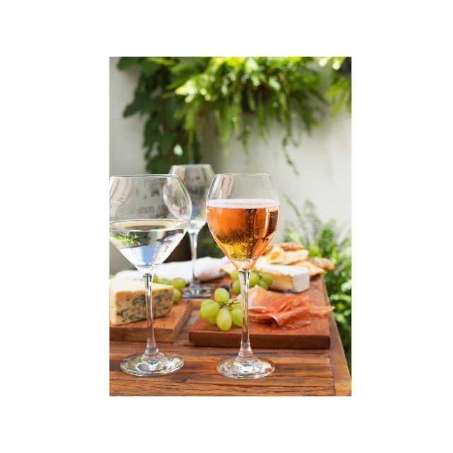 Taça 500ml Nadir Prestige 1